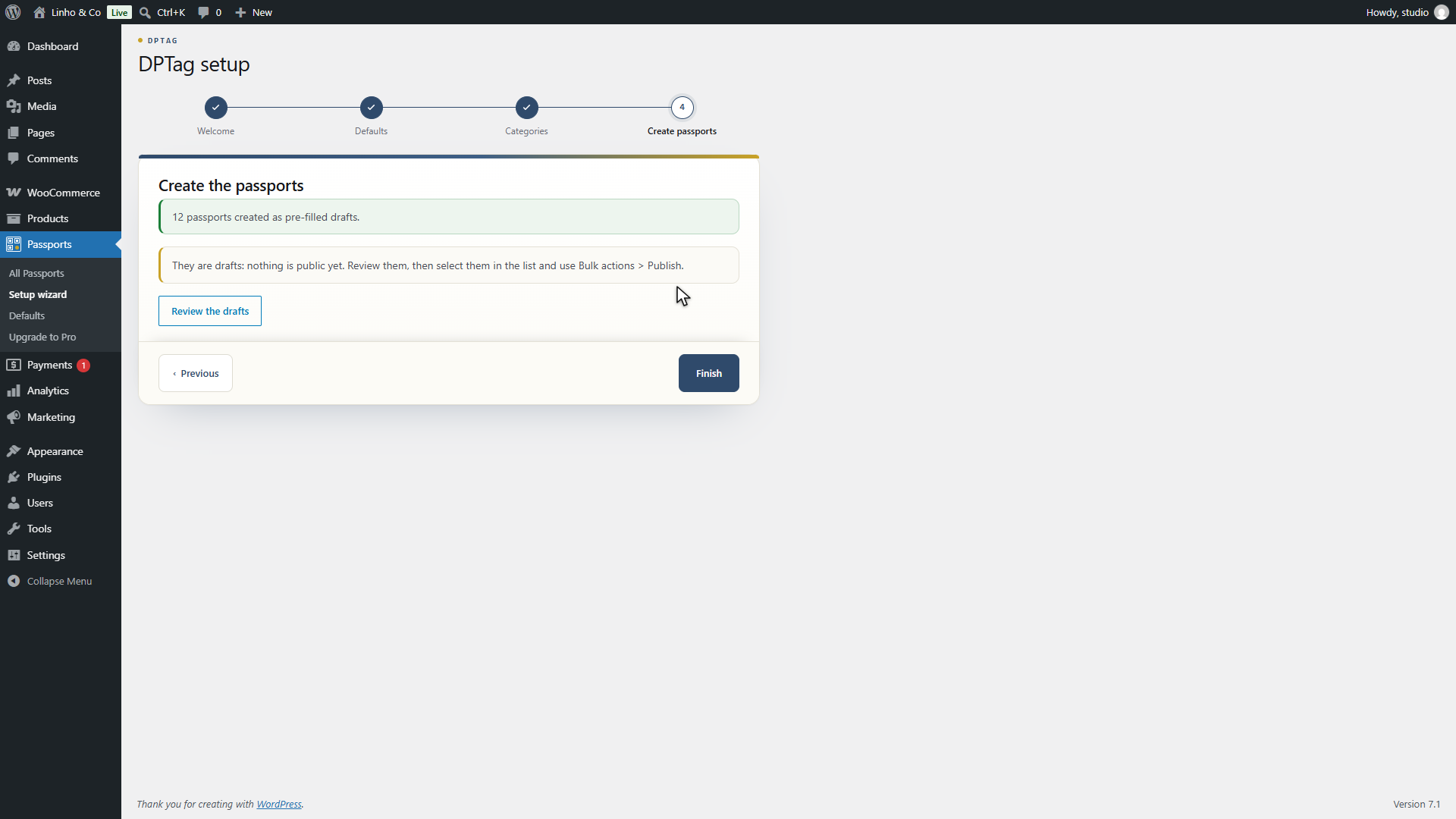 Step 4, Create the passports, with the count of products without a passport and the create button.
