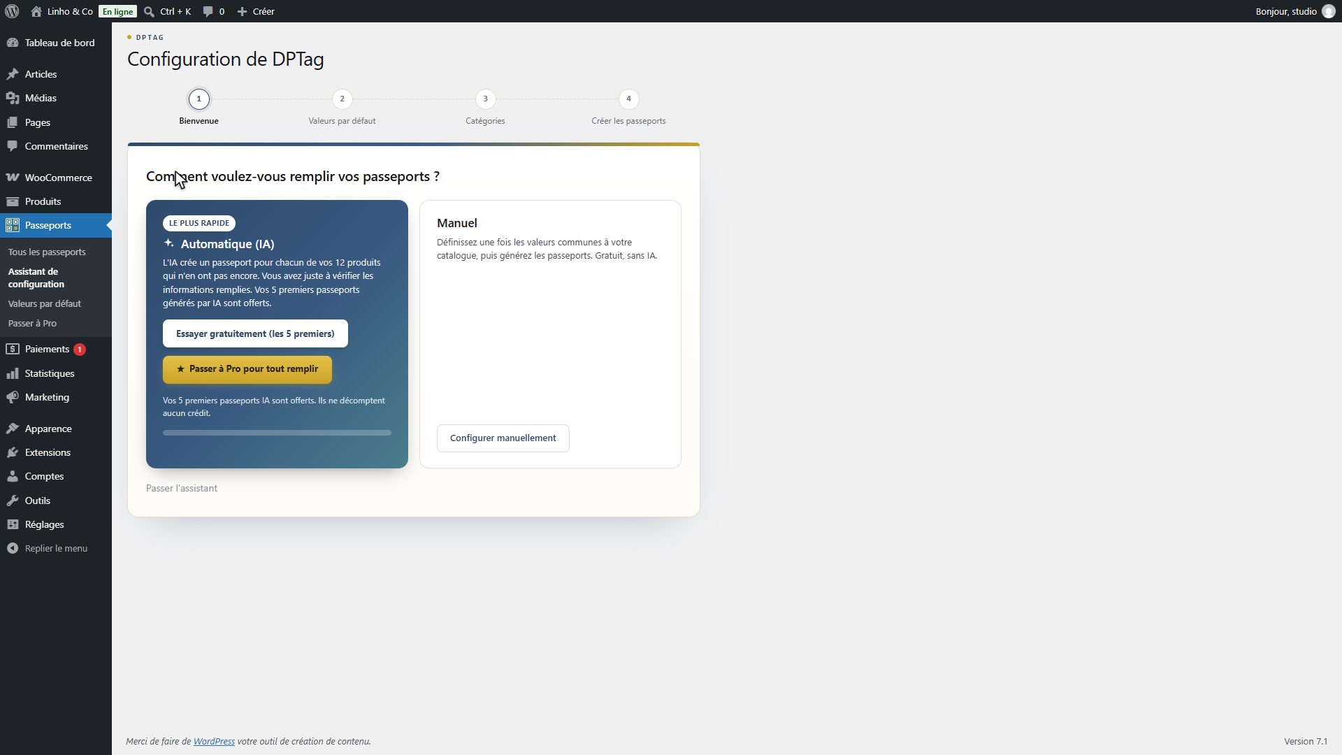 L'assistant de configuration de DPTag, étape 1 sur 4, avec deux cartes : Automatique (IA) et Manuel.